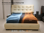 ICESLEEP IS-01 Smart Mattress Pad | Dual-Zone Water-Cooling & Heating Sleep System