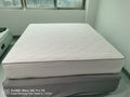 HL-02 Premium AI - Smart Mattress Cover